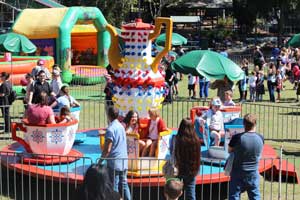 Cup and Saucer Ride